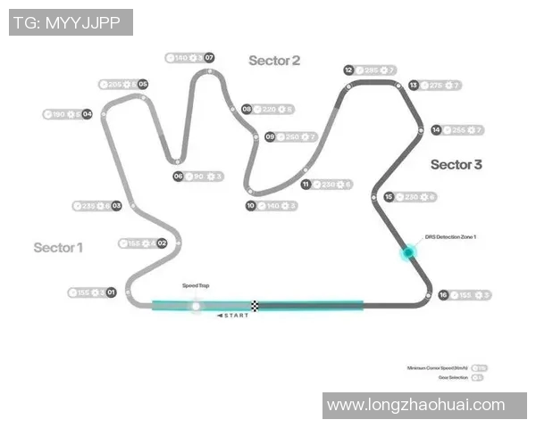 F1赛季车队策略调整及赛道适应性分析