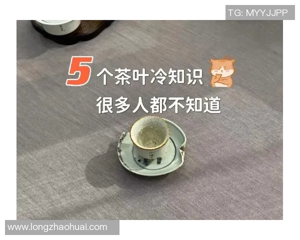 你不知道的VAR背后冷知识揭秘 盘点十大鲜为人知的事实